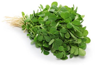 Picture of FenuGreek (Hara Methi)