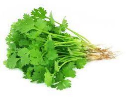 Picture of  Coriander ( Hara Dhaniya )