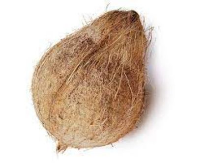 Picture of Coconut 1 piece