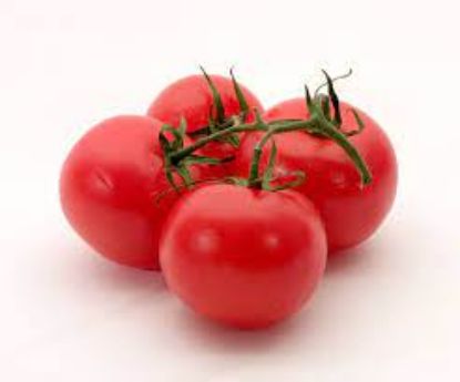 Picture of Tomato 