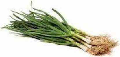 Picture of Green Garlic 