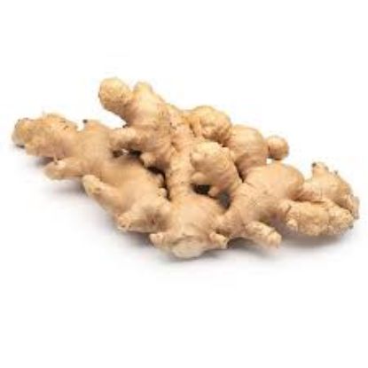 Picture of Ginger 