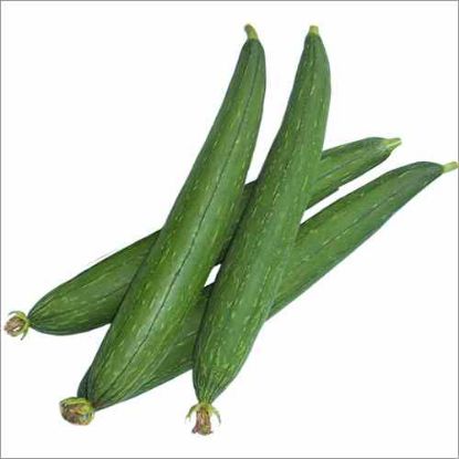 Picture of Sponge Gourd (Galka) 