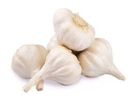 Picture of Garlic 