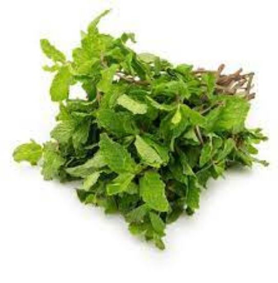 Picture of Spearmint (Pudina) 
