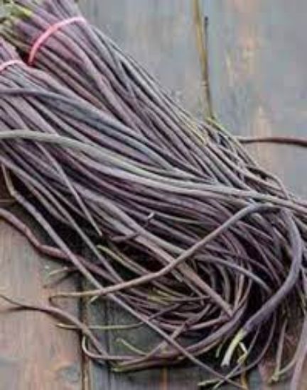 Picture of Purple Mogri