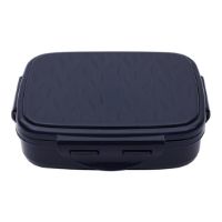 Picture of JAYPEE Stainless Steel Insulated Lunch Box Wavesteel Jr 500 ml ( Assorted Colour )