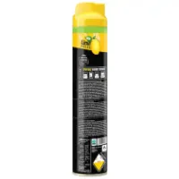 Picture of HIT Lime Fragrance Mosquito and Fly Killer Spray 200 ml